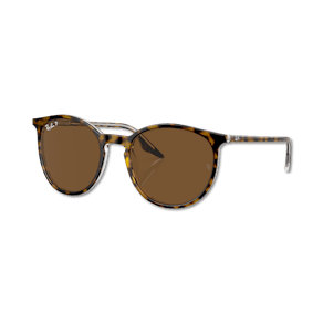 Ray-Ban RB2204 brown polarized on havana/transparent M