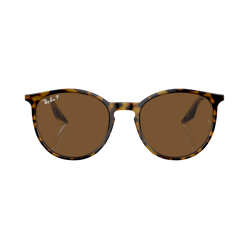 Ray-Ban RB2204 brown polarized on havana/transparent M