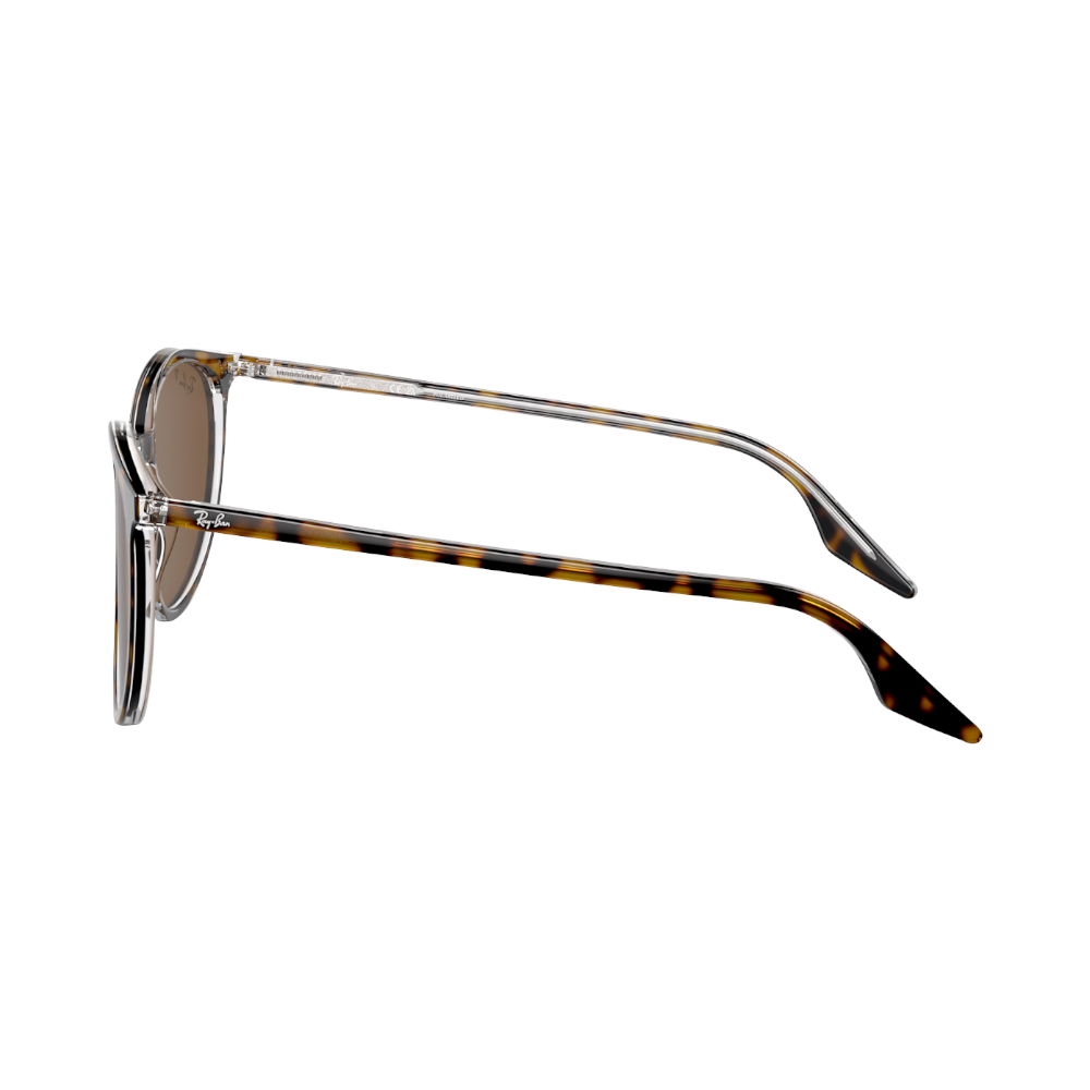 Ray-Ban RB2204 brown polarized on havana/transparent M