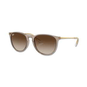 Ray-Ban ERIKA marrone M