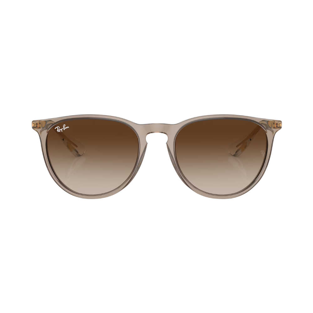 Ray-Ban ERIKA brown M