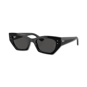 Ray-Ban ZENA total black S