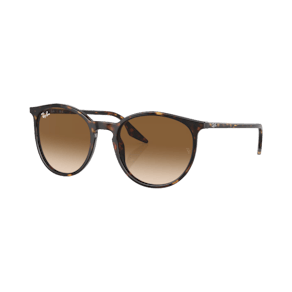 Ray-Ban RB2204 Brown on havana M