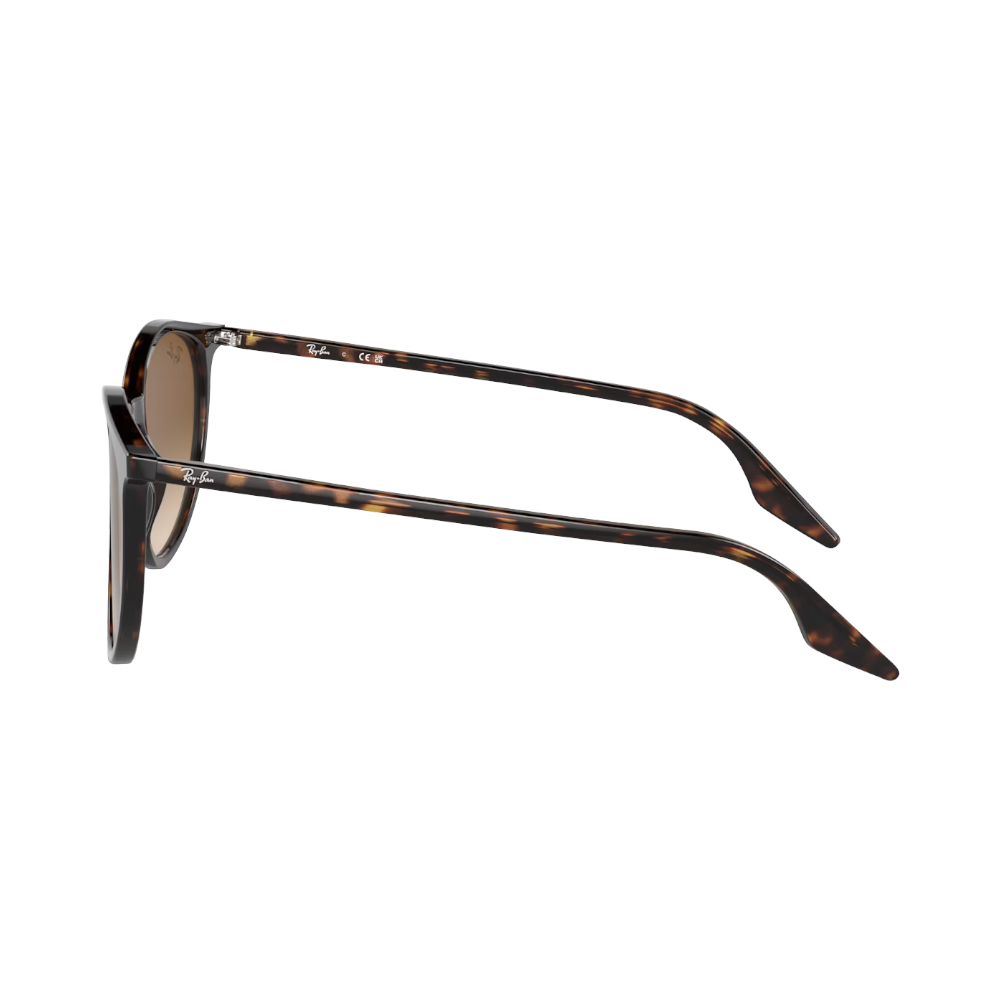 Ray-Ban RB2204 Marron sur écaille M