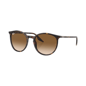 Ray-Ban RB2204 havanna / braun S