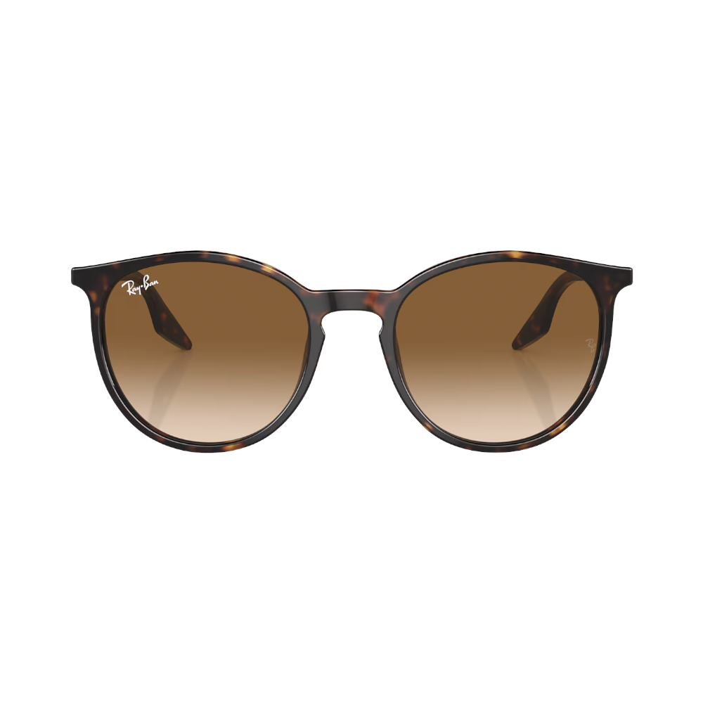 Ray-Ban RB2204 havana / brown S