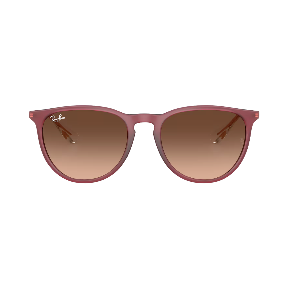 Ray-Ban ERIKA RB4171 violet / pink, brown M