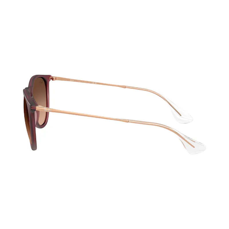 Ray-Ban ERIKA RB4171 violet / pink, brown M