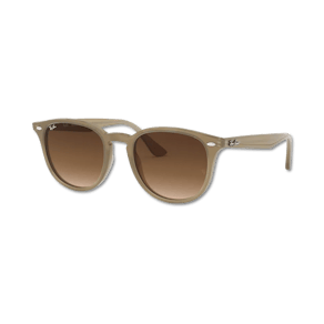 Ray-Ban RB4259 6166/13 51