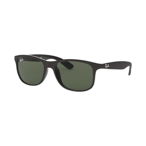 Ray-Ban ANDY RB4202 6069/71 55
