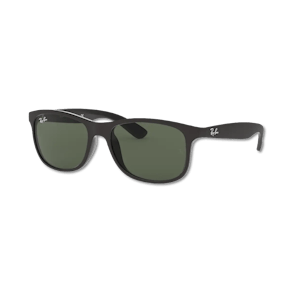 Ray-Ban Andy RB4202 6069/71 55
