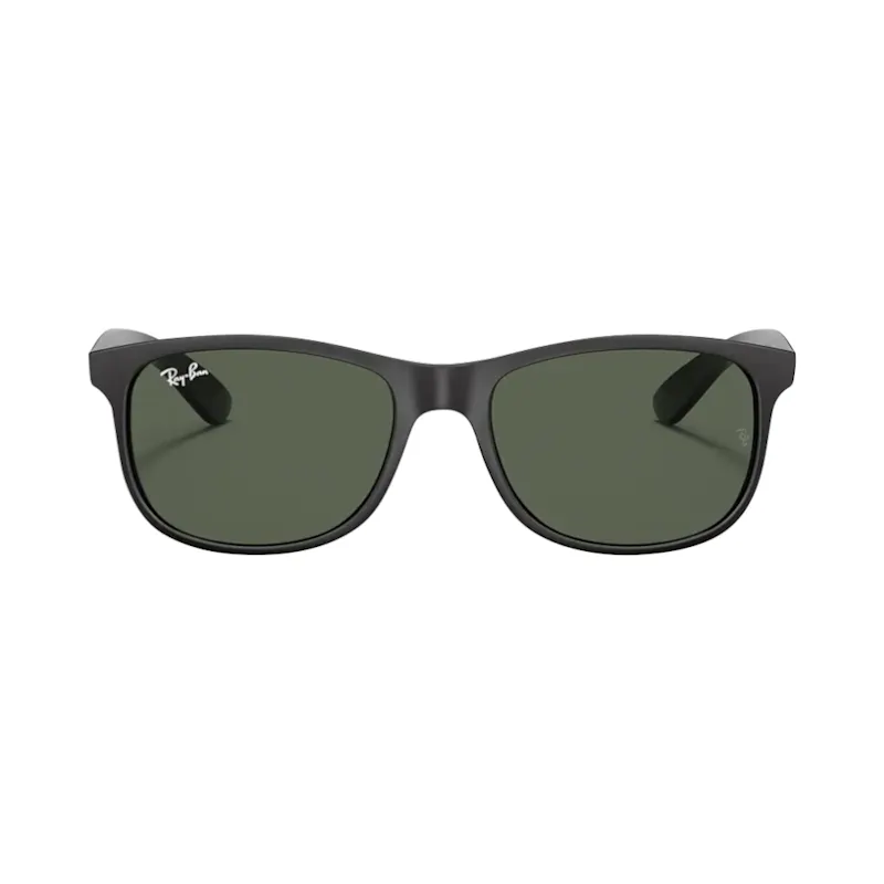 Ray-Ban RB4202 6069/71 ANDY