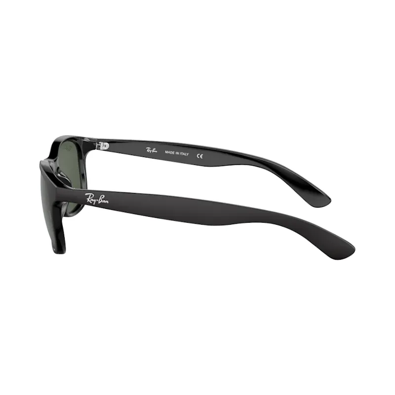 Ray-Ban RB4202 6069/71 ANDY