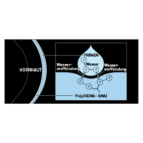 Miru 1day Menicon Flat Pack Toric - 30 lentilles